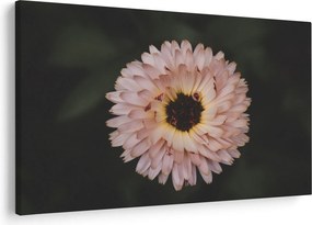Narancsságra virág képe (90x60 cm)
