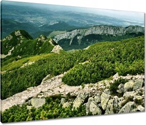 Vászonkép 80x60 Tátra Lengyel hegyek Kilátás