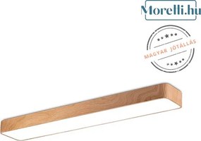 BRAYTRON BH16-08287 BLADE Modern Mennyezeti Lámpa LED IP20