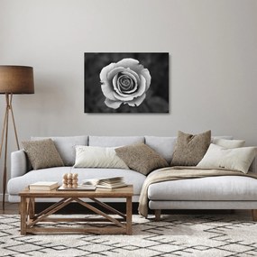 Egy rózsa képe (üvegen) (70x50 cm)