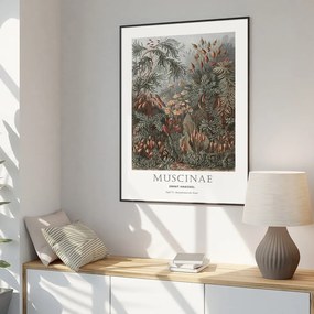 Kép 51x71 cm Tafel 72 – Malerifabrikken