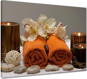 Vászonkép 50x40 Orchidea Háztartási kövek