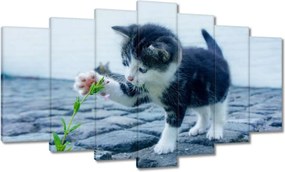 Vászonkép 140x80 Kíváncsi cica