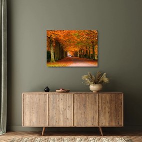Üveg kép - A Avenue of fák ősszel (70x50 cm)