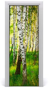 Ajtómatrica nyírfa erdő 75x205 cm