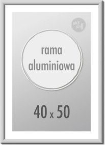 Képkeret 40x50 cm Alumínium keret 50x40