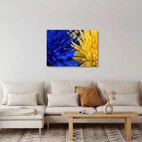 Kép - virág részlet (üvegen) (70x50 cm)