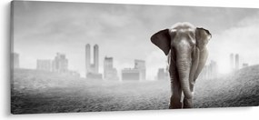 Kép -Elefánt egy nagyvárosban, fekete-fehér változat (120x50 cm)