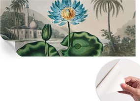 Dekoratív öntapadós tapéta Divatos minták Egzotikus táj 250x104