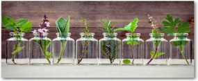 Lacobel konyhai szekrények alá Növények befőttes üvegekben XXL