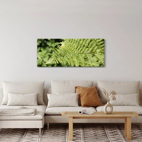 Kép - Páfránylevél (120x50 cm)