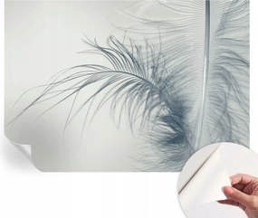 Modern öntapadós fotótapéta falra Finom toll 208x146 cm