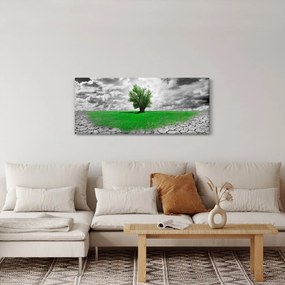 Kép - egy darab természet a városban (120x50 cm)