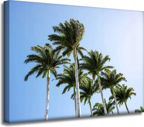 Vászonkép Természet Pálmafák 40x30 cm