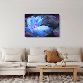 Egy virág képe részletesen (90x60 cm)