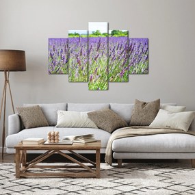 Egy mező képe a levendulával (150x105 cm)