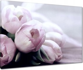 Vászonkép 80x60 Tulipánok Virágok