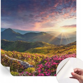 Öntapadós fali fotótapéta Hálószobába Hegyi panoráma 250x250 cm