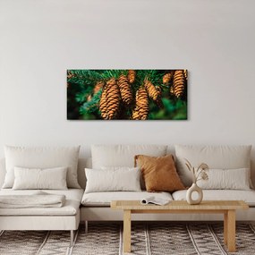 Fenyőtobozok képe (120x50 cm)