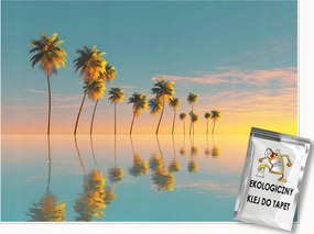 Fotótapéta Pálmafák Tengerpart Tájkép Természet Falra Hálószoba Nappali 300x210