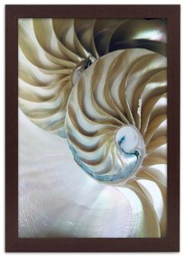 Gario Poszter Egy kagyló belseje A keret színe: Fekete, Méret: 70 x 100 cm