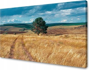 Vászonkép Gabonamező Természet Felhők Tájkép 120x70 cm