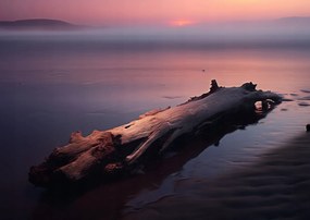 Poszter 29,7x21cm Várva a végére