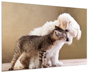 Macska és kutya képe (90x60 cm)