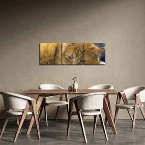 Macska képe (órával) (90x30 cm)