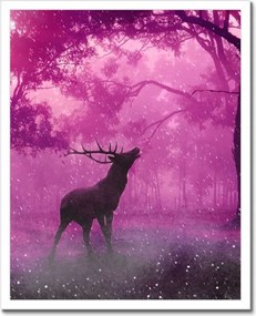 Poszterek keretben 40x50 Szarvas a varázslatos erdőben