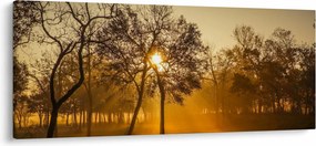 Napkelte kép (120x50 cm)