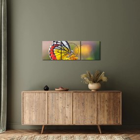 Egy pillangó képe a virágon (órával) (90x30 cm)
