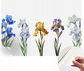 Fotótapéta Fali tapéta Hálószobába és Nappaliba Írisz virágok 312x219 cm