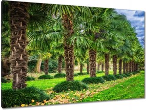 Festmények 120x80 Tájkép