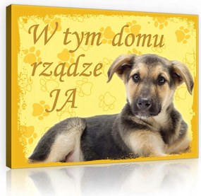 Vászonkép 100x75 Kiskutya kutyus aranyos kis kedvenc öröm otthonos mancs sárga