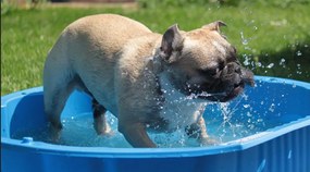 Homokozó medence Ibiza fedéllel 102 cm rózsaszín