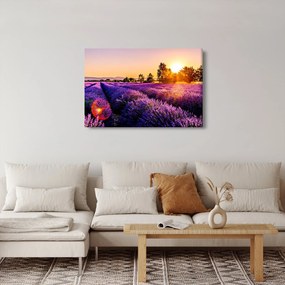 A levendula mező képe, Provence (90x60 cm)