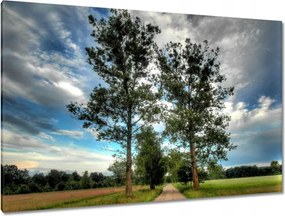 Festmények 120x80 Vidéki út