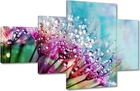 Vászonkép 130x80 Harmatcseppek Pitypang