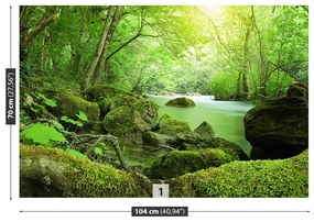Fotótapéta River erdő 104x70 cm