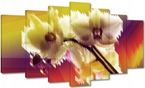 Vászonkép 140x80 Orchidea Gyönyörű virágok