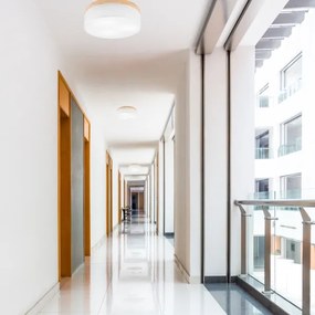 Brilagi - LED mennyezeti lámpa BELLADONNA 3xE27/15W/230V, 50 cm, fehér/fenyő