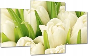 Vászonkép 100x60 Finom tulipánok