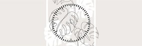 Kép - Vonalkép monstera N⁰3 (órával) (90x30 cm)