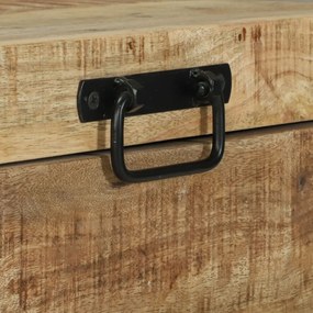 Tároló ládák 60x30x30cm Tömör Mangófából és Fém