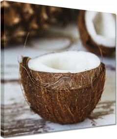 Vászonkép 30x30 Kókuszdió Bronz