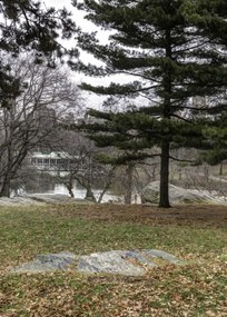 Poszter 50x70cm Central Park, New York, Assaf Frank