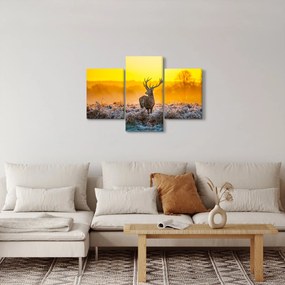Kép - Szarvas napfelkeltekor (90x60 cm)