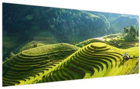 Kép - Rice Terraces koncert (120x50 cm)