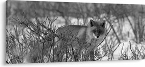Kép - Róka télen (120x50 cm)